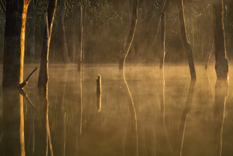 „Amber Hour”, fotografia lunii septembrie la Samyang Photo Contest