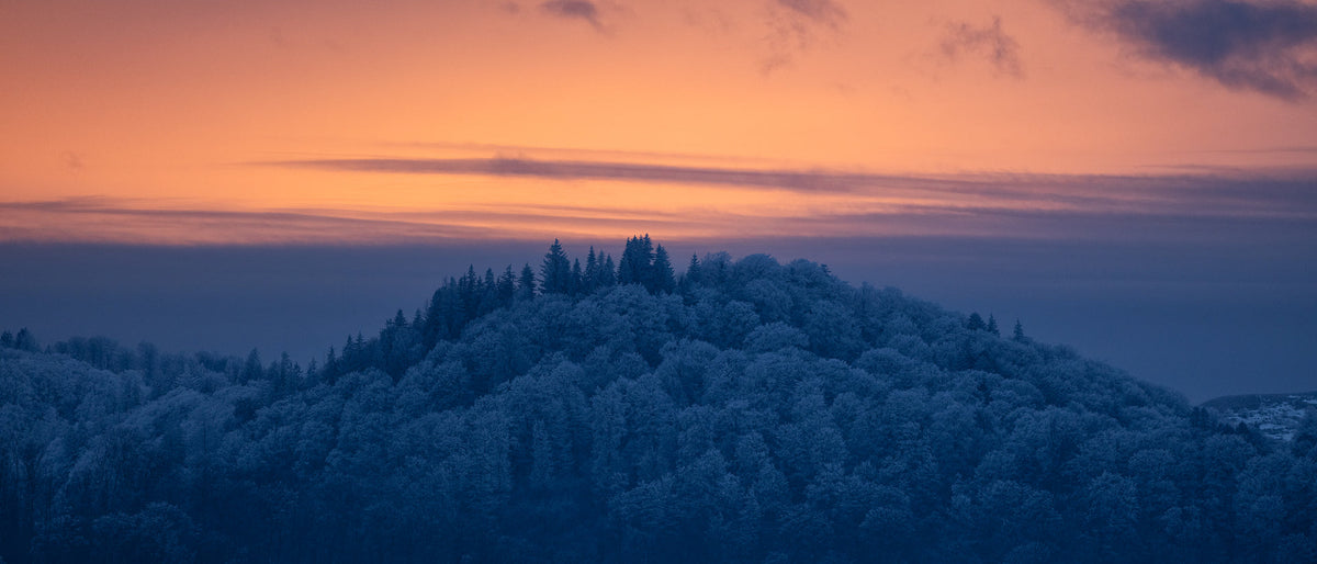 Iarna în nuanțe de tăcere: O explorare vizuală a liniștii la final de sezon