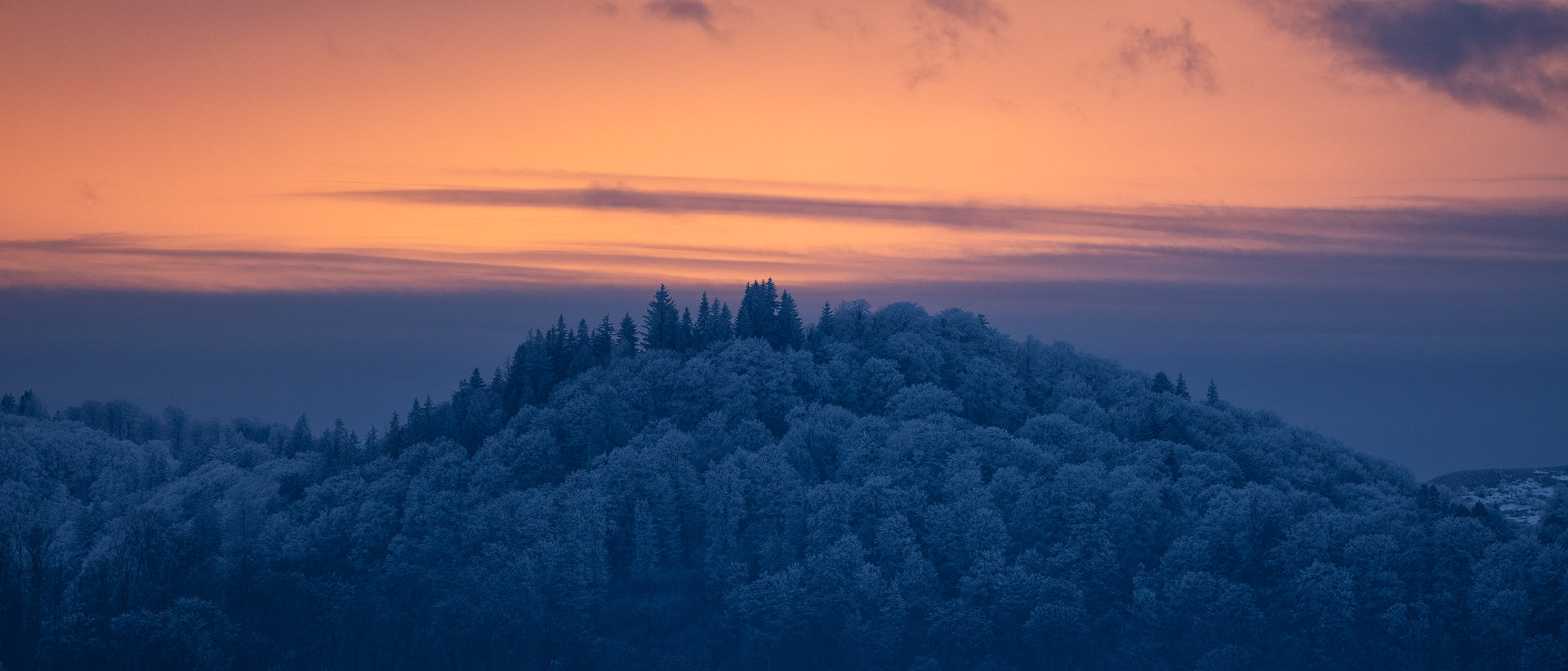 Iarna în nuanțe de tăcere: O explorare vizuală a liniștii la final de sezon