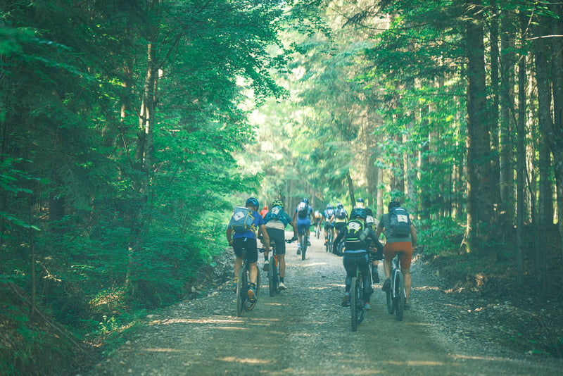 Dincolo de limite: Bison Adventure Race 2026 în inima Neamțului