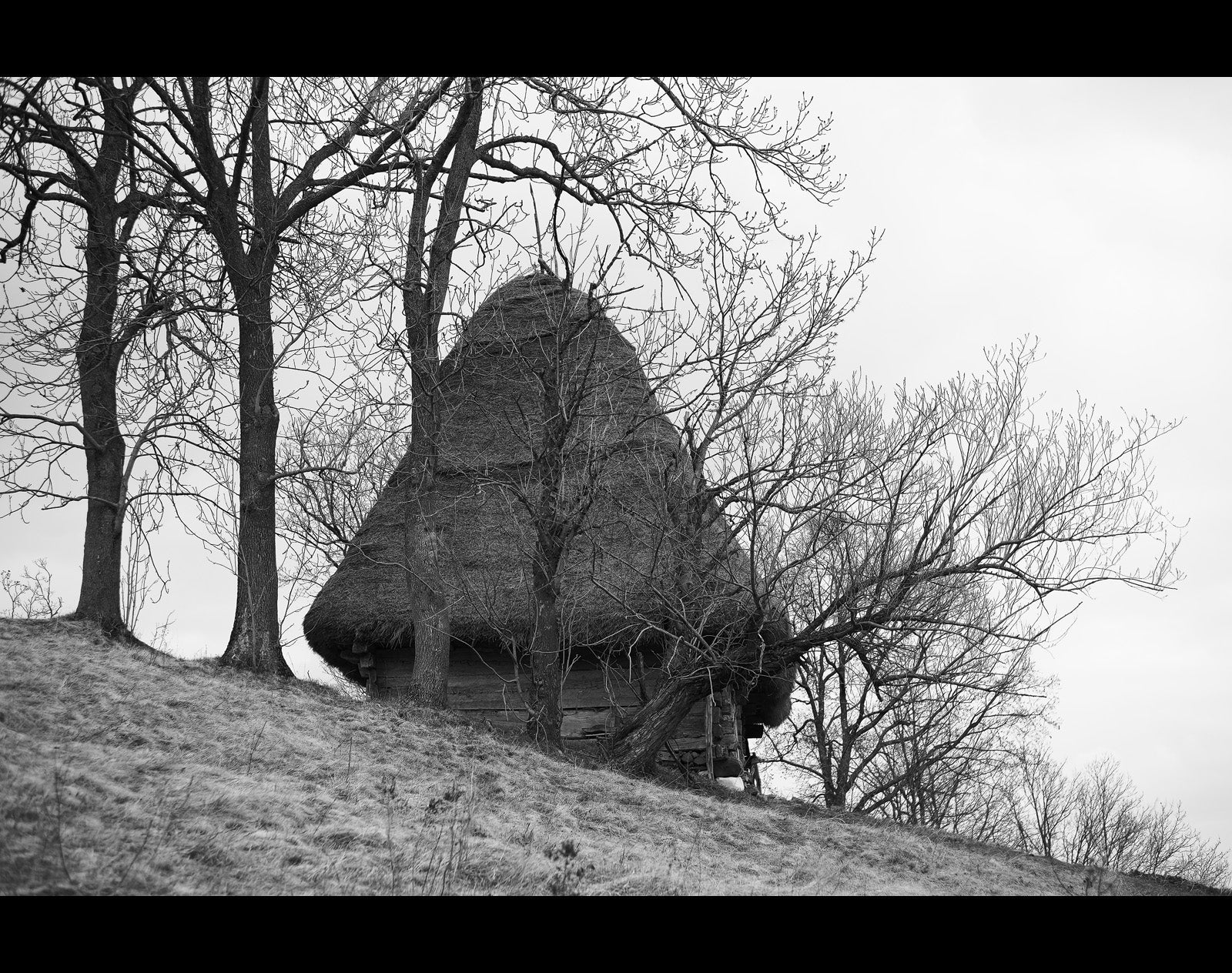 Rătăcind fără plan – o după-amiază în Munții Apuseni