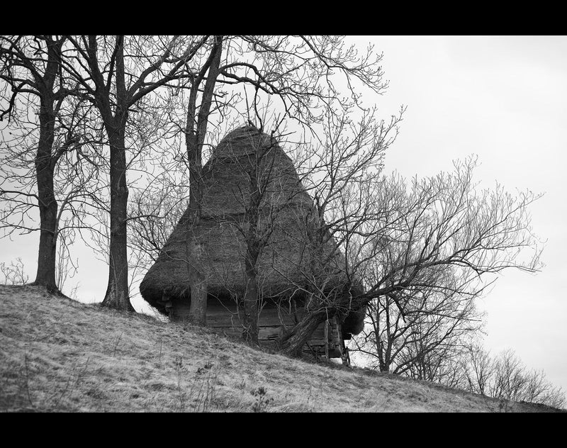 Rătăcind fără plan – o după-amiază în Munții Apuseni