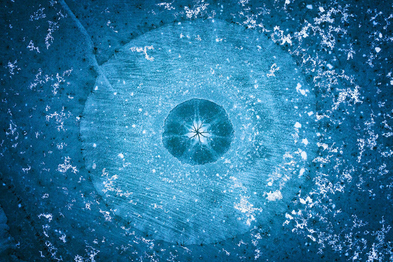 Abstract & Minimalist