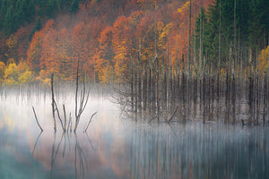 Cuejdel Lake