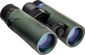 Binoclu Focus Observer