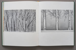 Pagini duble din albumul foto „Ținutul Zimbrului” cu un design interior curat, prezentând două fotografii alb-negru. Imagini cu trunchiuri de copaci solitari pe un fundal infinit de zăpadă albă, subliniind geometria și liniștea pădurii de iarnă din Neamț.