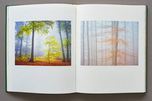 Pagini de interior din albumul „Ținutul Zimbrului” prezentând păduri de fag din Neamț toamna. Imagini cu lumina filtrată prin ceață și frunze arămii, capturând atmosfera mistică a Parcului Natural Vânători Neamț.