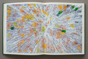 Vedere aeriană tip mozaic asupra unei păduri în tranziție din Ținutul Zimbrului. Coroane de arbori în nuanțe de galben, verde și arămiu presărate pe un sol înzăpezit, oferind o textură abstractă unică în albumul lui Gheorghe Popa.