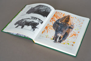 Albumul "Ținutul Zimbrului" deschis, prezentând fotografii artistice alb-negru și color cu zimbri în habitatul lor natural. Tipărit pe hârtie premium, publicat de GphotoGallery SRL, surprinzând fauna sălbatică din Parcul Natural Vânători Neamț.