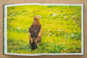 Album foto Ținutul Zimbrului / Bison Land– O călătorie fotografică prin sălbăticia Parcului Natural Vânători Neamț
