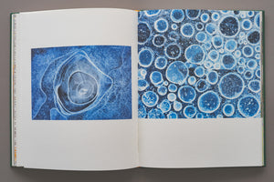 Pagini de interior din albumul „Ținutul Zimbrului” prezentând fotografii abstracte cu structuri de gheață. Detalii macro ce seamănă cu celule înghețate sau bule de aer în nuanțe de albastru intens, capturate de Gheorghe Popa.