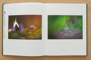 Album foto Ținutul Zimbrului / Bison Land– O călătorie fotografică prin sălbăticia Parcului Natural Vânători Neamț