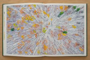 Album foto Ținutul Zimbrului / Bison Land– O călătorie fotografică prin sălbăticia Parcului Natural Vânători Neamț