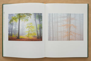 Album foto Ținutul Zimbrului / Bison Land– O călătorie fotografică prin sălbăticia Parcului Natural Vânători Neamț