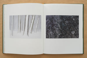 Album foto Ținutul Zimbrului / Bison Land– O călătorie fotografică prin sălbăticia Parcului Natural Vânători Neamț