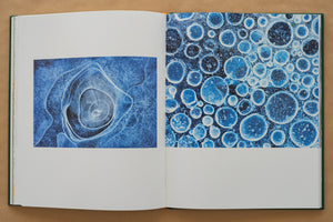 Album foto Ținutul Zimbrului / Bison Land– O călătorie fotografică prin sălbăticia Parcului Natural Vânători Neamț