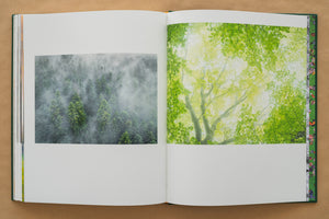 Album foto Ținutul Zimbrului / Bison Land– O călătorie fotografică prin sălbăticia Parcului Natural Vânători Neamț