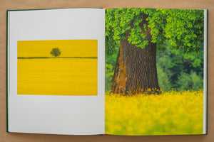 Album foto Ținutul Zimbrului / Bison Land– O călătorie fotografică prin sălbăticia Parcului Natural Vânători Neamț