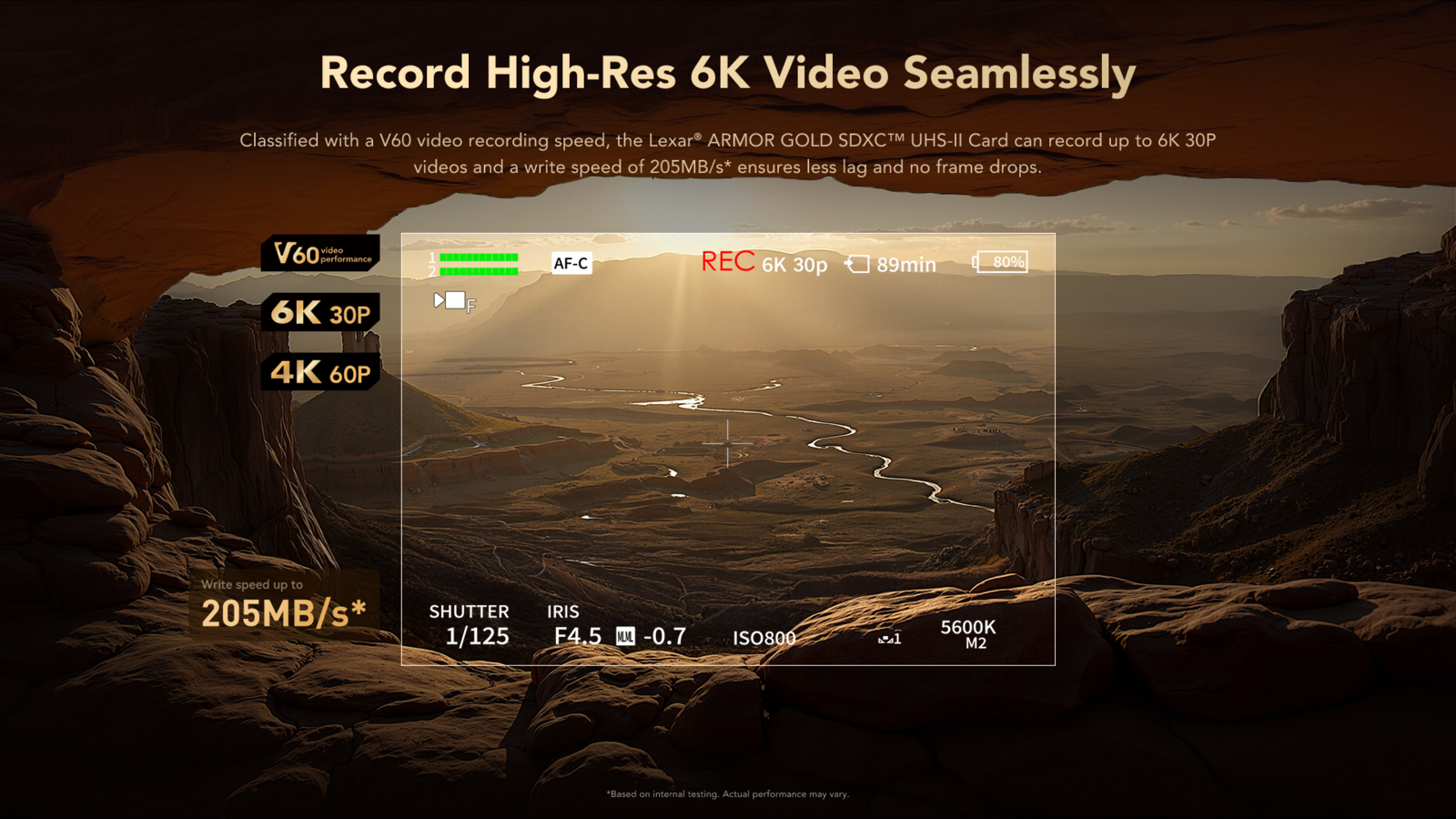 Lexar ARMOR Gold Card de Memorie SDXC UHS-II 128GB – Oțel Inoxidabil IP68, V60, R280/W205 MB/s