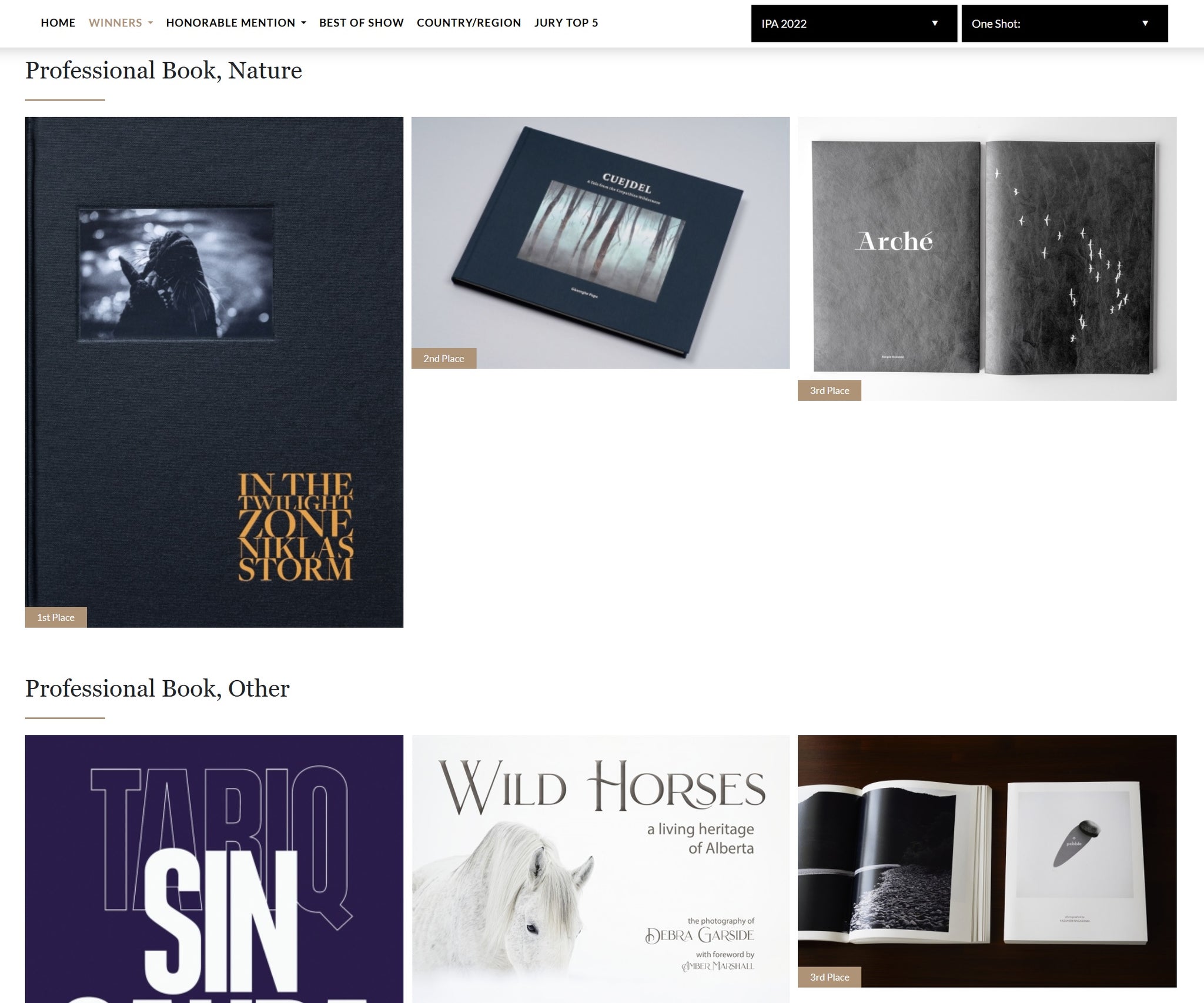 Captură de ecran de pe site-ul oficial International Photography Awards (IPA), secțiunea „Professional Book, Nature”, unde albumul „Cuejdel – A Tale from the Carpathian Wilderness” de Gheorghe Popa este marcat cu „2nd Place”. Imaginea prezintă coperta albumului într-un context competițional de nivel mondial, confirmând valoarea sa în categoria cărților de fotografie de natură.