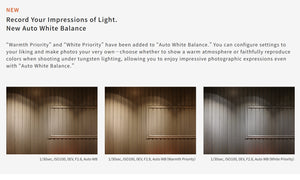 Ricoh GR IV HDF Aparat Foto Compact 28mm 25.7Mpx