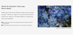 Ricoh GR IV HDF Aparat Foto Compact 28mm 25.7Mpx