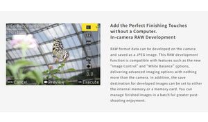 Ricoh GR IV HDF Aparat Foto Compact 28mm 25.7Mpx