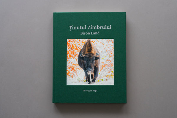 Coperta albumului foto "Ținutul Zimbrului - Bison Land" de Gheorghe Popa, publicat de Gphoto Gallery SRL, reprezentând un zimbru în zăpadă din Parcul Natural Vânători Neamț.