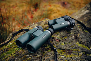 Binocluri compacte Pentax AD 9x28 WP așezate pe o piatră acoperită cu mușchi în natură