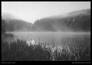 Peisaj alb-negru cu Lacul Cuejdel în ceață, stuf în prim-plan și pădure pe fundal, realizat pe film Agfa APX 400 ISO.