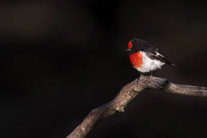 Fujifilm GF 500mm F5.6 R LM OIS WR Obiectiv Foto Mirrorless