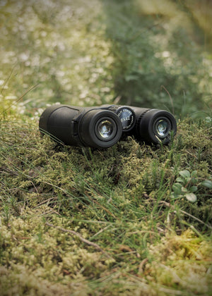 Binoclu Focus Bright 8x42