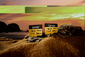 Lexar Card de Memorie microSDXC Professional UHS-II 128GB V60 Gold