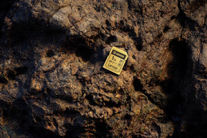 Lexar ARMOR Gold Card de Memorie SDXC UHS-II 128GB Otel Inoxidabil