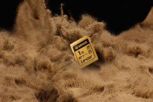 Lexar ARMOR Gold Card de Memorie SDXC UHS-II 128GB Otel Inoxidabil