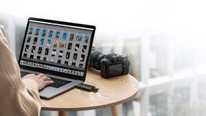 Lexar Cardreader microSD/SD I Dual Slot USB-A/C microSD Card USB 3.1 Reader, up to 255MB/s read