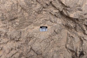 Lexar Profesional Silver Plus Card de Memorie microSDXC 64GB UHS-I V30