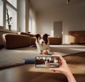 Lexar Cardreader microSD/SD I Dual Slot USB-A/C microSD Card USB 3.1 Reader, up to 255MB/s read