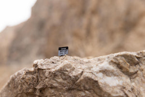 Lexar Profesional Silver Plus Card de Memorie microSDXC 64GB UHS-I V30