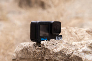 Lexar Profesional Silver Plus Card de Memorie microSDXC 64GB UHS-I V30 - 2 Pack