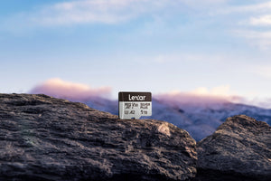 Lexar Profesional Silver Plus Card de Memorie microSDXC 64GB UHS-I V30 - 2 Pack