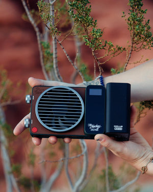 Hand holding a portable radio with a blurred natural background
