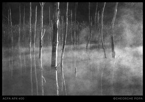 Fotografie alb-negru pe film Agfa APX 400 ce surprinde trunchiurile uscate de copaci ieșind din apa Lacului Cuejdel, înconjurate de ceață densă și reflexii.