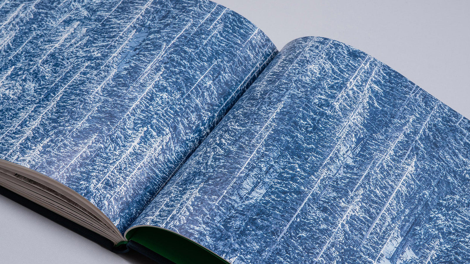 Albumul „Cuejdel” de Gheorghe Popa deschis la o pagină dublă ce prezintă o fotografie panoramică abstractă. Imaginea redă o pădure densă acoperită complet de zăpadă și chiciură, dominată de nuanțe de albastru rece și alb, creând o textură vizuală repetitivă și fascinantă a iernii carpatine.