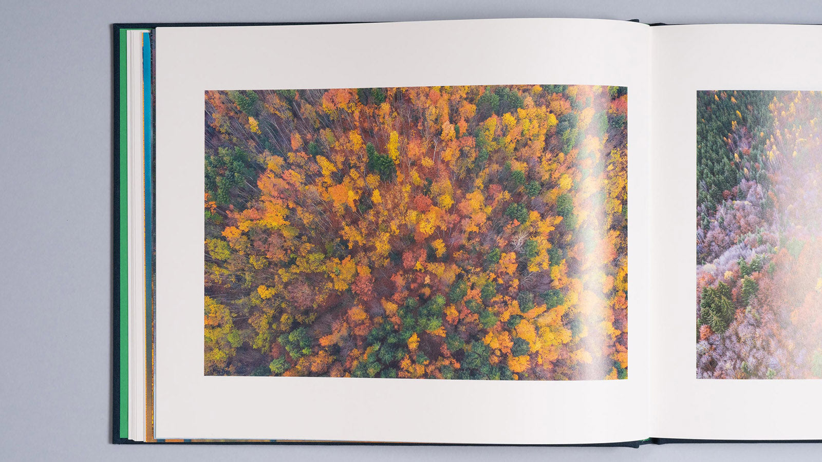 Album foto Cuejdel – A Tale from the Carpathian Wilderness