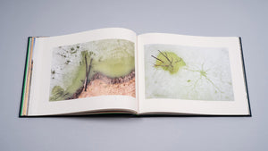 Albumul de artă „Cuejdel” de Gheorghe Popa deschis la o secțiune cu două fotografii abstracte de dimensiuni medii. Imaginile surprind detalii ale apei și vegetației în nuanțe de verde-fistic și texturi minerale, sugerând fragilitatea ecosistemului din Carpați prin forme ce amintesc de picturile în acuarelă.